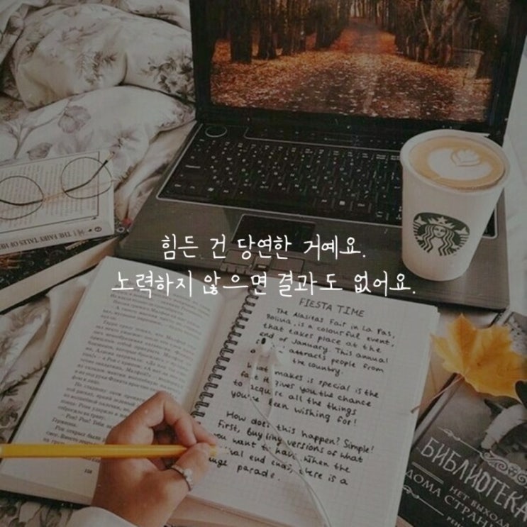  부거사이 [부동산 뉴스와 블로그] 12월 10일(금)