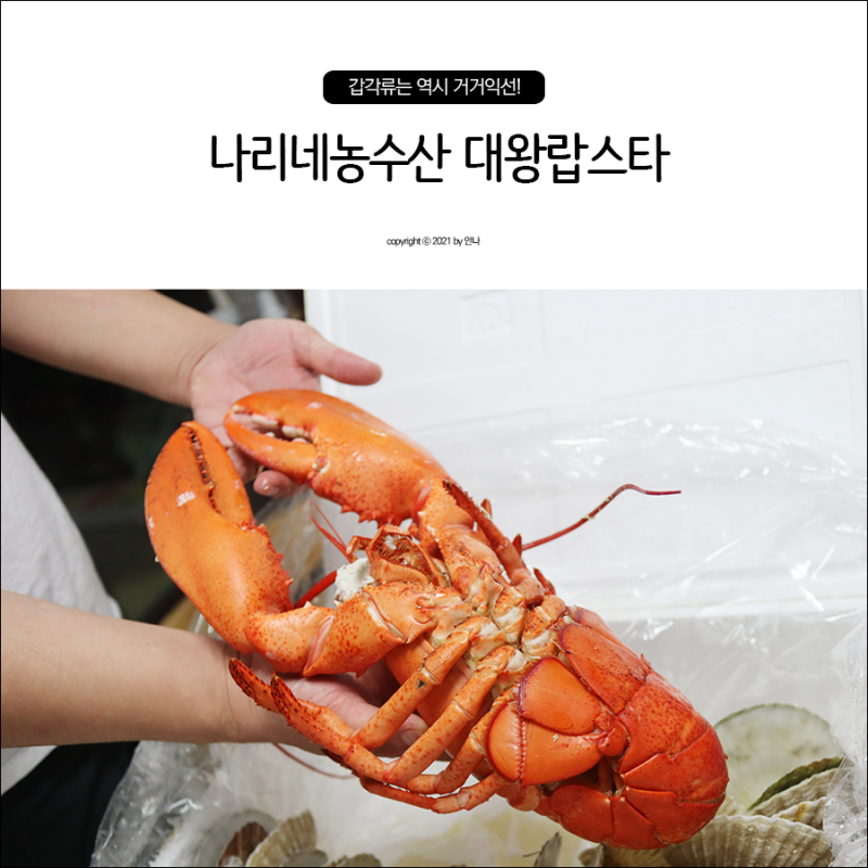 대구 랍스타, 대왕 랍스터가격 매천시장 근처 나리네 포장 후기 : 네이버 블로그