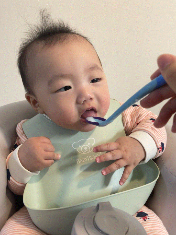  엘빈즈 이유식 시작한 6개월 아기.