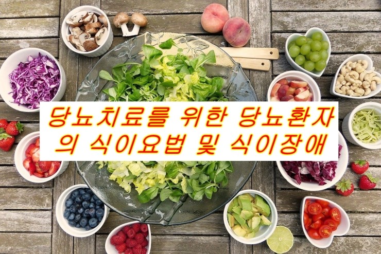  당뇨치료를 위한 당뇨환자의 식이요법 및 식이장애