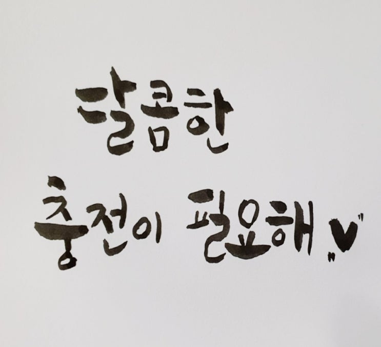 캘리그라피 독학 8일차 모필 붓펜 (펜텔 컬러브러쉬 블랙 펜) 활용 오~어렵다