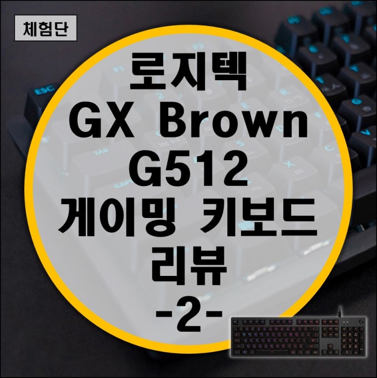 로지텍 게이밍 키보드 G512 GX Brown 리뷰 -2-   게이밍 사용기