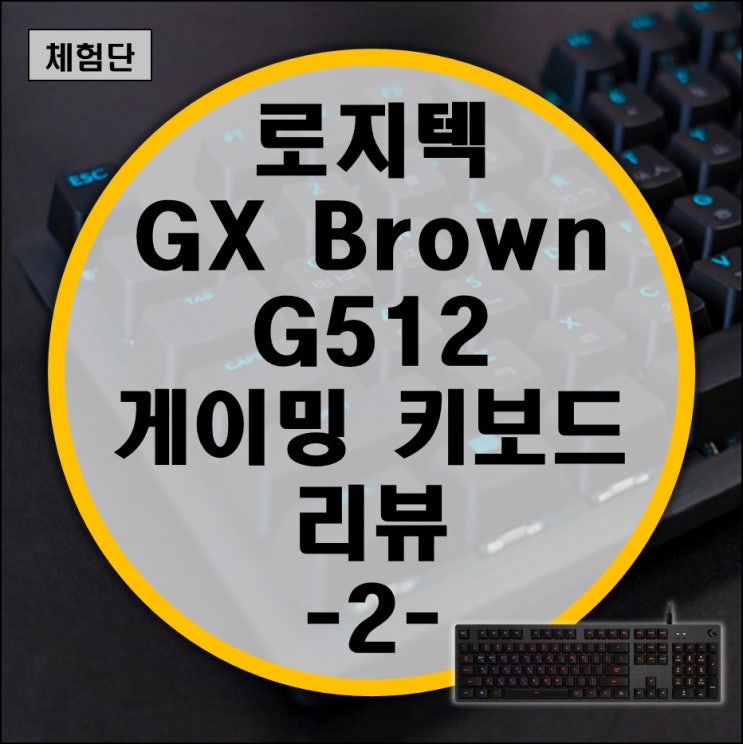 로지텍 게이밍 키보드 G512 GX Brown 리뷰 -2- 게이밍 사용기 로지텍 게이밍 키보드 G512 GX Brown 리뷰 -2- 게이밍 사용기