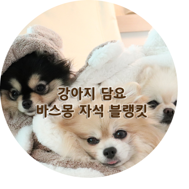  강아지 겨울옷 양면 멀티 자석블랭킷 추천