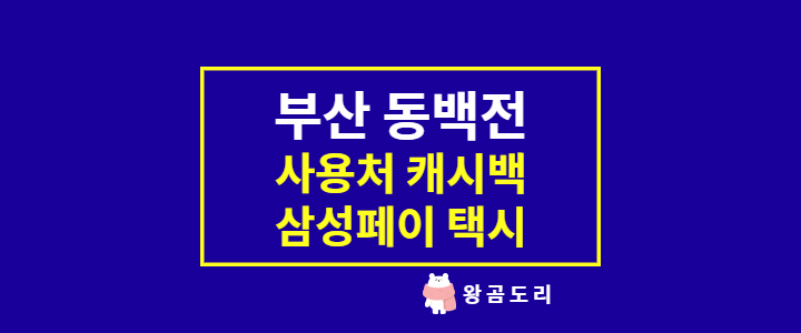 부산 동백전 카드 : 사용처, 택시, 삼성페이, 캐시백, 한도, 혜택