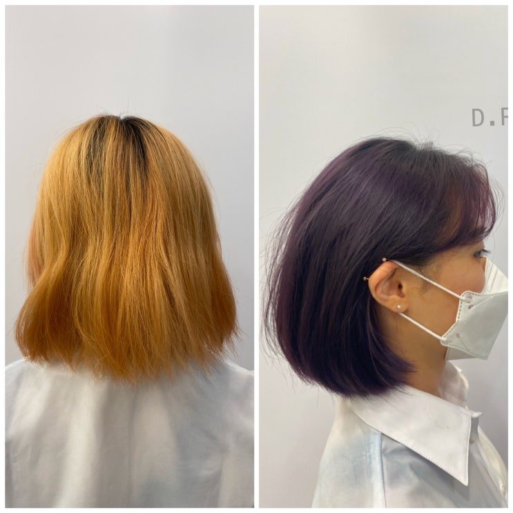  보그헤어 합정점 l 다련디자이너의 애쉬퍼플 애쉬바이올렛 톤다운 염색