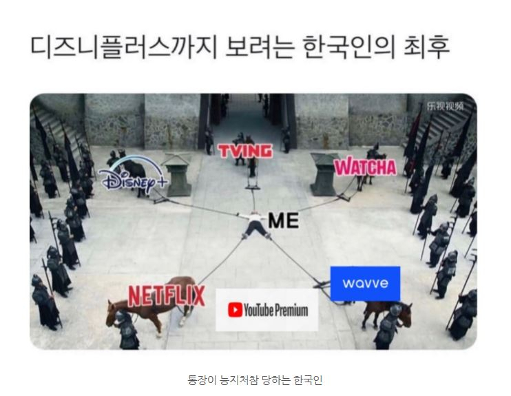  ott 가격 총정리 가격비교 / 애플tv+,넷플릭스, 디즈니플러스, 티빙, 웨이브, 왓챠, 쿠팡플레이
