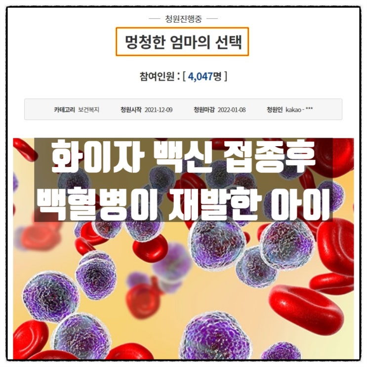화이자 백신 접종 후 백혈병이 재발한 아이, 그리고 ' 멍청한 엄마의 선택 ' 국민청원 글 화이자 백신 접종 후 백혈병이 재발한 아이, 그리고 ' 멍청한 엄마의 선택 ' 국민청원 글