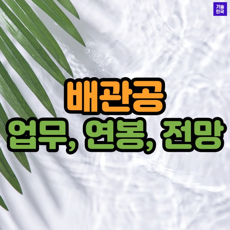  현장관리인 자격직종 - 배관공 (업무, 연봉, 전망)