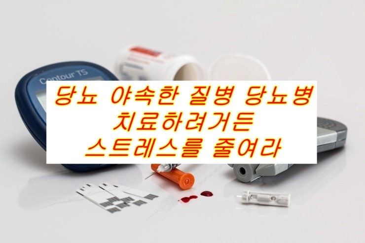  당뇨 야속한 질병당뇨병 치료하려거든  스트레스를 줄여라