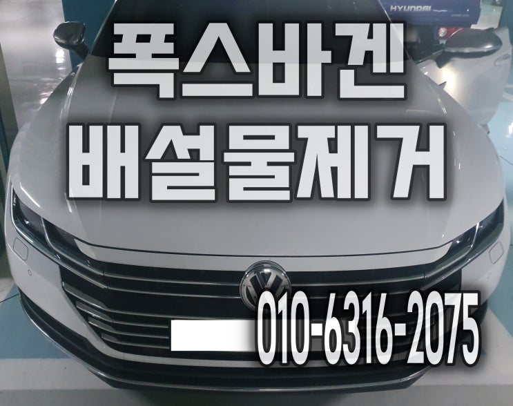  시트분리세척으로 자동차 배설물제거 후기 시트탈거 폭스바겐 양주시