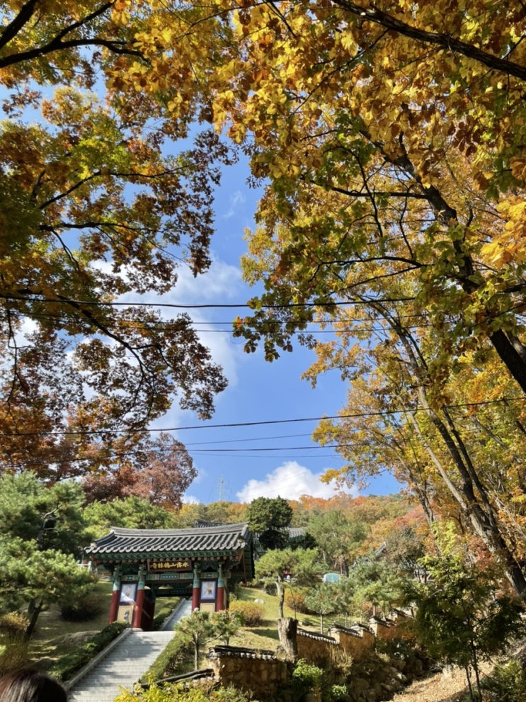  11월 첫째주 가을 만끽 일상