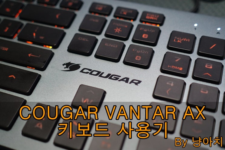  COUGAR VANTAR AX (Black) 키보드 사용기