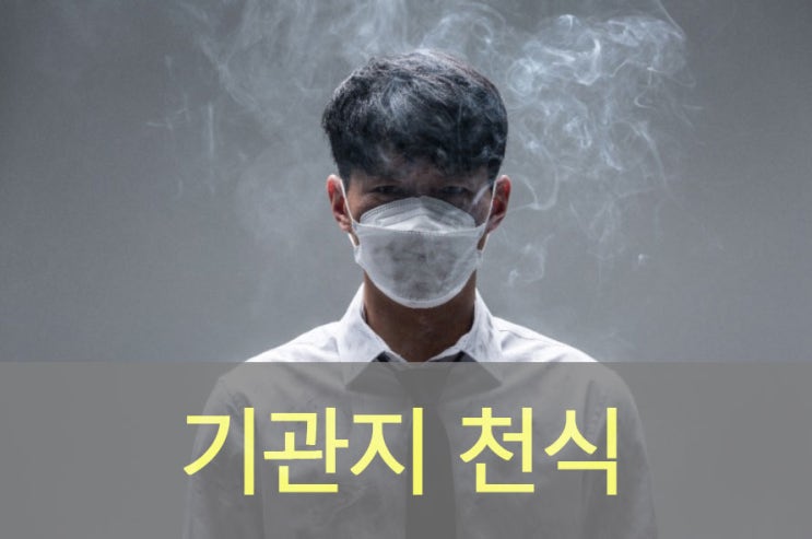  알레르기 기관지 천식 원인과 증상, 좋은 음식, 영양제