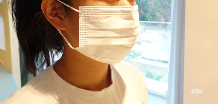  에스케어 일회용 덴탈마스크추천