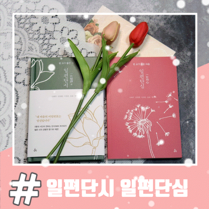  연말선물 하기 좋은 책 나태주필사책 일편단시+일편단심