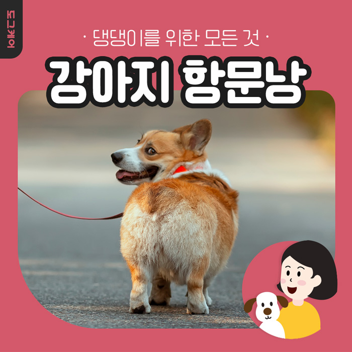  강아지 항문낭 짜는 방법, 꼭 짜야 할까요? 도그케어