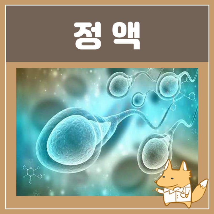  정액 피 혈정액증 : 정액색깔 노란정액, 정액검사