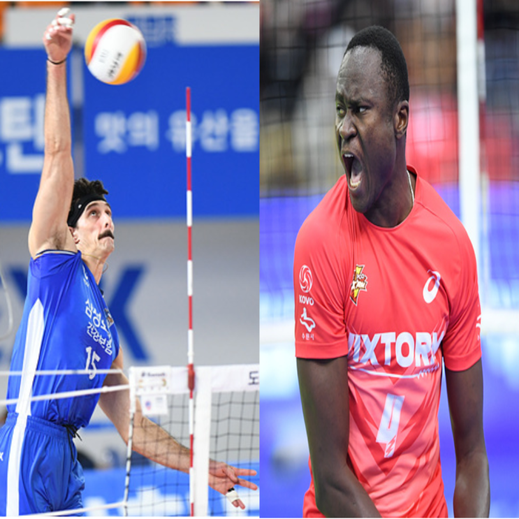 남자배구 삼성화재 한국전력 12월12일 경기예상(러셀 신장호 백광현 다우디 서재덕 신영석)