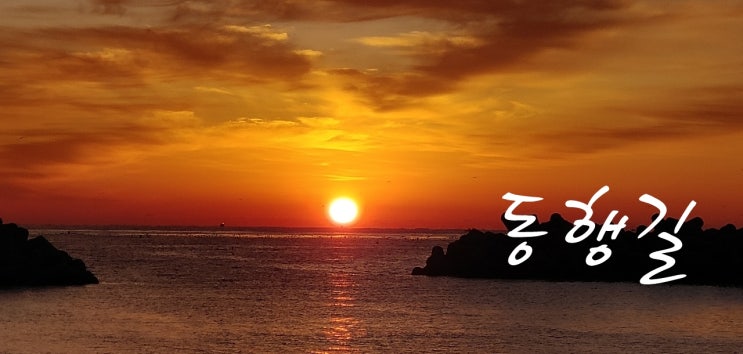  새롭은 시작을 준비 블로그 새로운 대문 설정