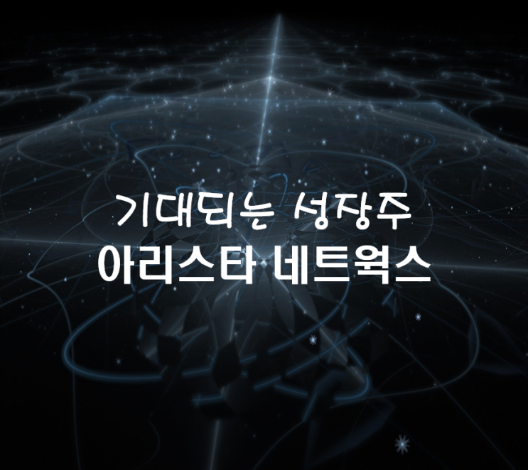  내년 성장이 기대되는 성장주 아리스타 네트웍스에 대해서 알아보자