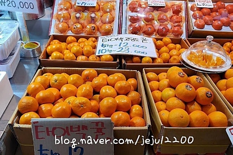 오늘청과2 이미지