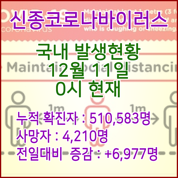  코로나19(코로나바이러스) 12월 11일 0시 신규확진자 6,977명 / 사망자 4,210명