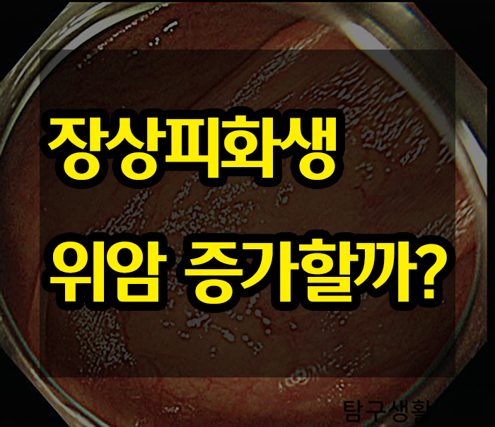  장상피화생이 왜 중요한가 임상적인 의미