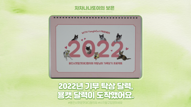  용인시캣맘캣대디협의회 2022년 달력 도착, 너무 이뻐요!