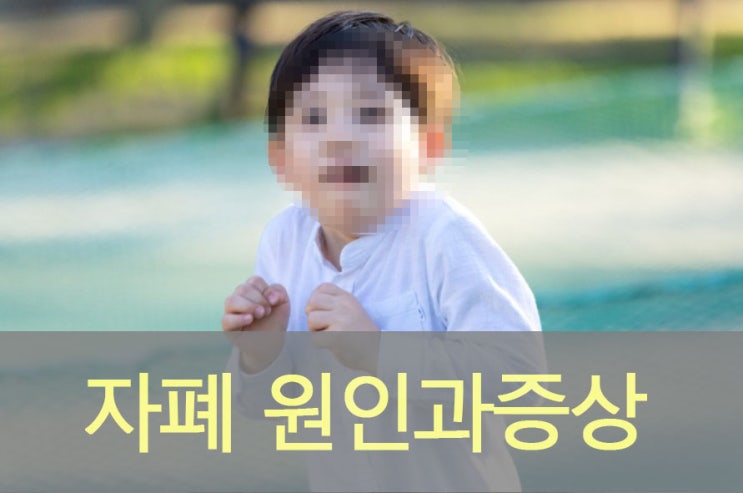  자폐아 원인과 증상, 자폐 스펙트럼 장애