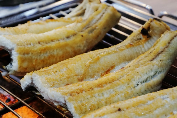  금촌동 맛집 파주 장어구이 100% 국내산 파주민물장어