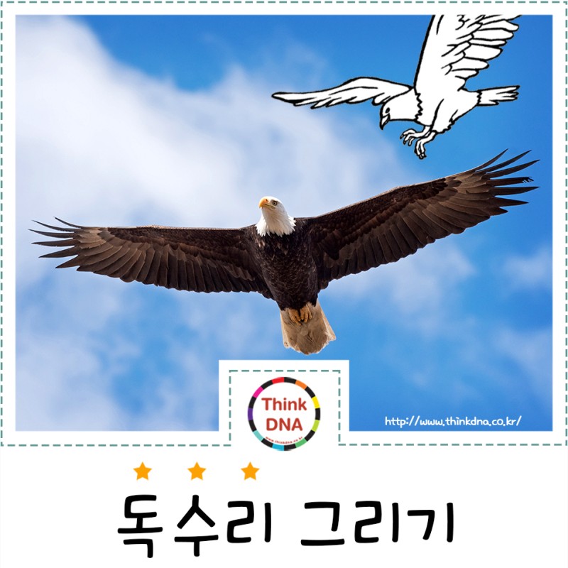 겨울철새 동물 그림 독수리 그리기 : 네이버 블로그