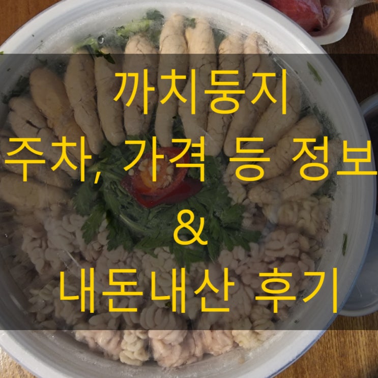  원주 내돈내산 맛집 추천 까치둥지 알탕 포장