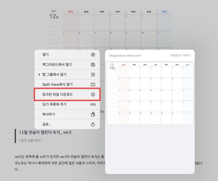 아이패드 사파리로 PDF 파일 다운로드하는 법 (+굿노트 불러오기)