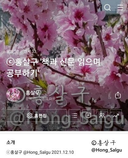  12월 홍살구 초보 블로그 시작