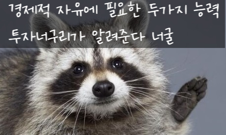  아무도 안 알려주는 경제적 자유를 위해 꼭 필요한 두가지 능력, 투자너구리가 알려준다