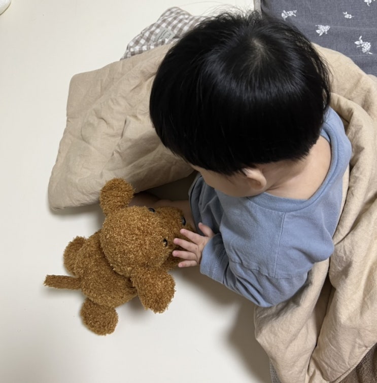  9개월 아기 장난감 기프트앤돌 강아지인형 사랑스러워
