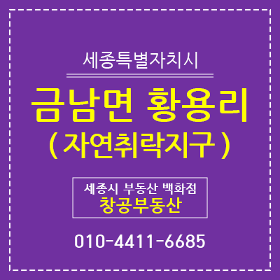  세종시 토지 매매 - 금남면 황용리