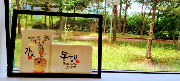  부메랑과 소통