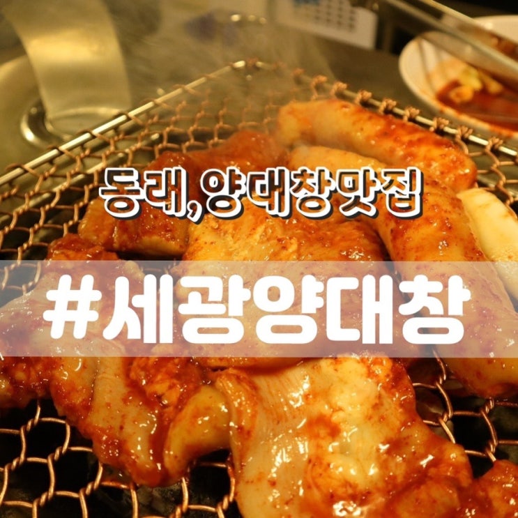  [동래 곱창맛집/동래술집] 세광양대창 부산동래점/ 양대창먹으러 내돈내산 재방문!!