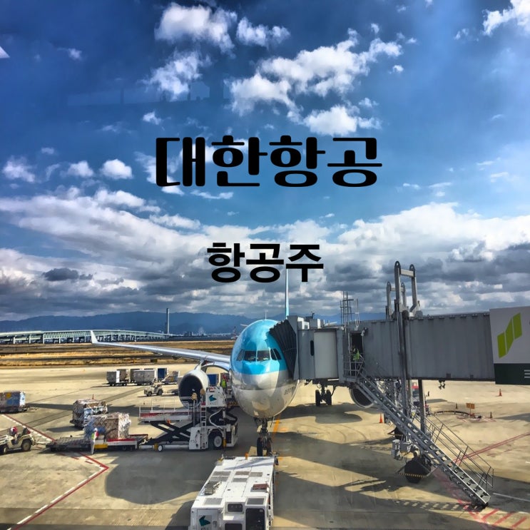  [항공주]대한항공-아시아나 합병 후 독보적인 국적항공사