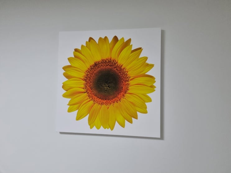  방꾸미기, 돈이 들어오는 해바라기 그림