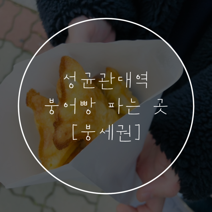  성균관대역 [붕세권!!] 붕어빵 파는 곳