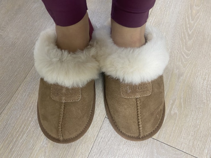 UGG 양모 어그 슬리퍼 구매후기 UGG 양모 어그 슬리퍼 구매후기