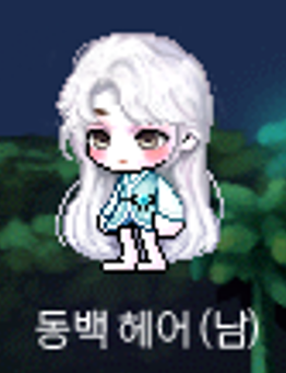  메이플 동백 헤어 아쉬운 점
