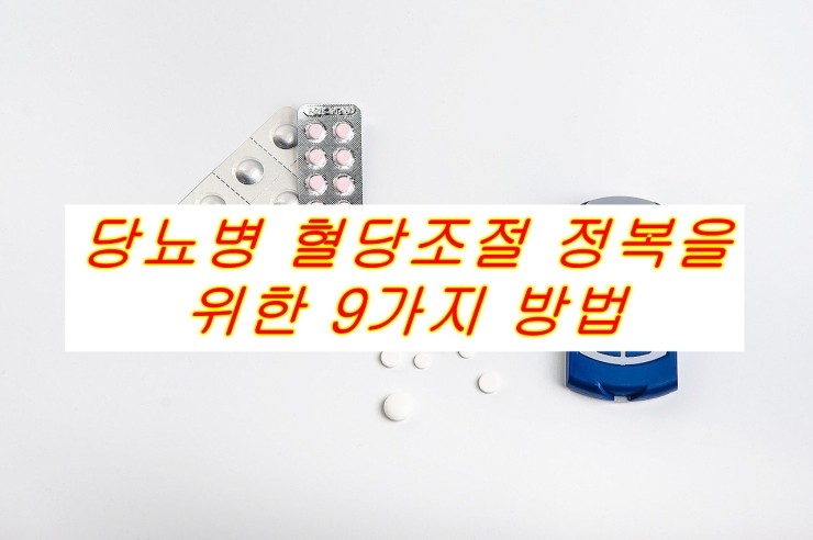 당뇨병 혈당조절 정복을 위한 9가지 방법