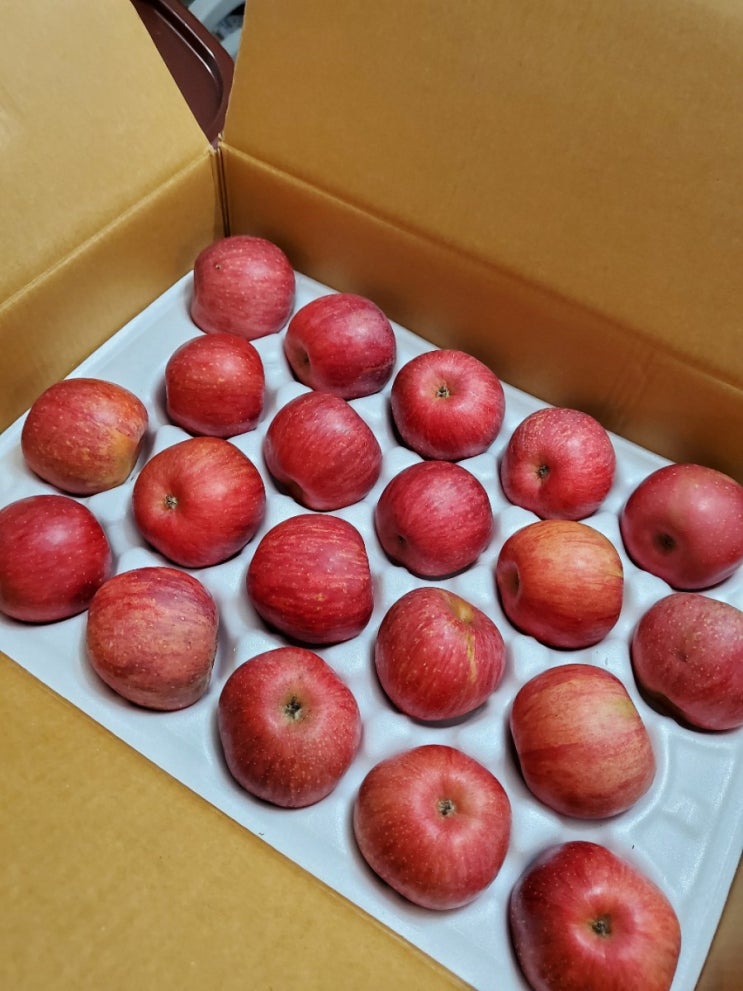  [유유애플] 맛있는 문경사과 ! 당도높은사과 맛있게 먹기 ^^