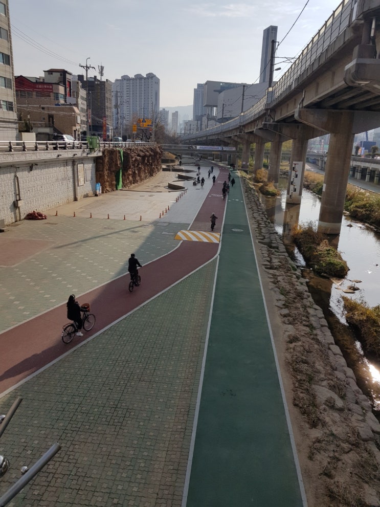 부산시 동래 온천천 부산시 동래 온천천