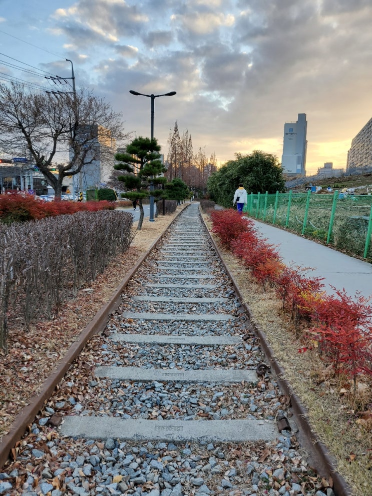  포항 철길숲공원 산책풍경