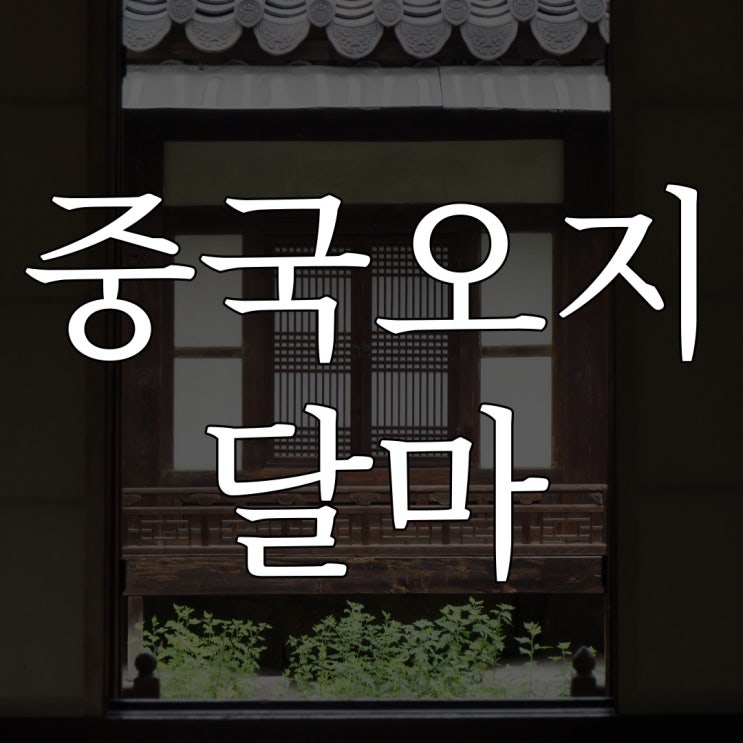  중국 오지의 달마 / 무서운 중국 괴담 인신매매 공포 썰